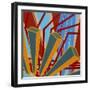 Lines Project 62-Eric Carbrey-Framed Giclee Print