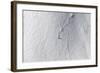 Lines-Jakob Sanne-Framed Giclee Print