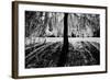 Linger-Sharon Wish-Framed Photographic Print