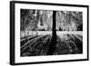 Linger-Sharon Wish-Framed Photographic Print