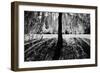 Linger-Sharon Wish-Framed Photographic Print