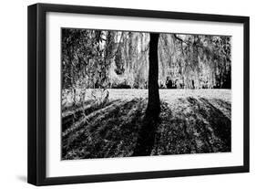 Linger-Sharon Wish-Framed Photographic Print