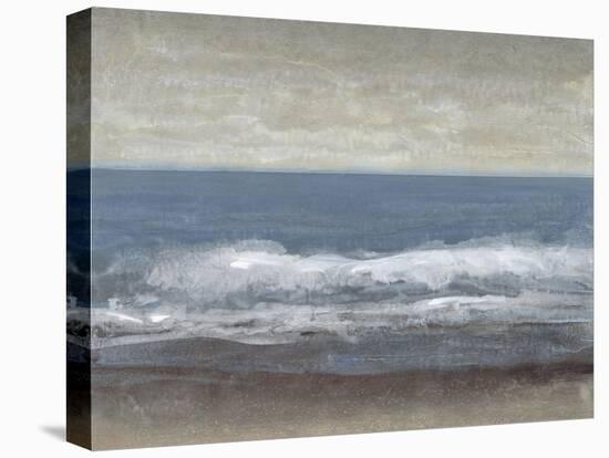 Lingering Grey II-Tim O'toole-Stretched Canvas