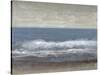 Lingering Grey II-Tim O'toole-Stretched Canvas