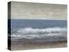 Lingering Grey II-Tim O'toole-Stretched Canvas