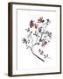 Lingonberry Branch-null-Framed Giclee Print