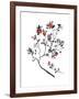 Lingonberry Branch-null-Framed Giclee Print