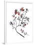 Lingonberry Branch-null-Framed Giclee Print