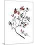 Lingonberry Branch-null-Mounted Giclee Print