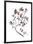 Lingonberry Branch-null-Framed Giclee Print