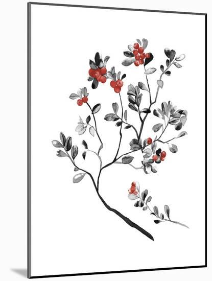 Lingonberry Branch-null-Mounted Giclee Print