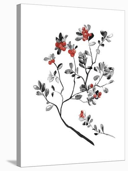 Lingonberry Branch-null-Stretched Canvas