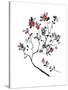 Lingonberry Branch-null-Stretched Canvas