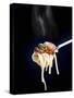 Linguine with a Minced Meat Sauce, Tomatoes and Basil on a Fork-Mark Vogel-Stretched Canvas