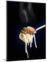 Linguine with a Minced Meat Sauce, Tomatoes and Basil on a Fork-Mark Vogel-Mounted Photographic Print