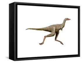 Linhenykus Dinosaur-null-Framed Stretched Canvas