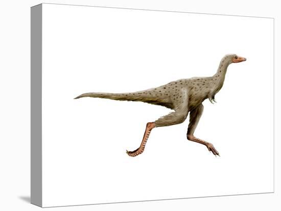 Linhenykus Dinosaur-null-Stretched Canvas