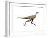 Linhenykus Dinosaur-null-Framed Art Print