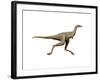 Linhenykus Dinosaur-null-Framed Art Print