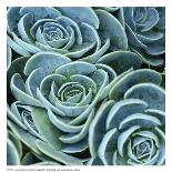 Blue Green Flora-linjerry-Laminated Art Print