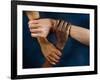 Linked Hands-Tony McConnell-Framed Photographic Print