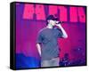 Linkin Park-null-Framed Stretched Canvas