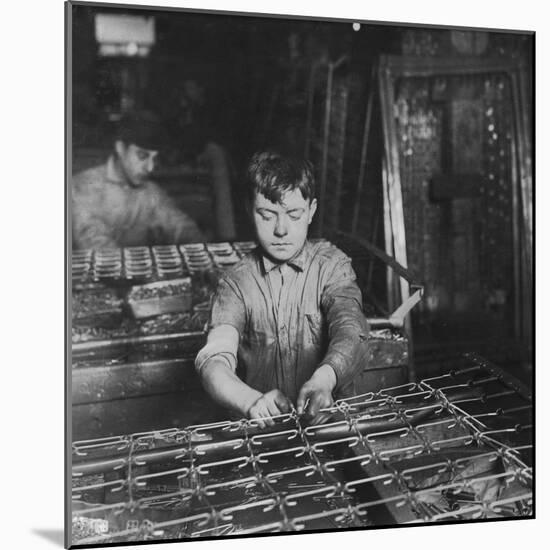 Linking Bed Sprigs-Lewis Wickes Hine-Mounted Photo