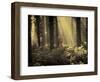 Linkset-David Baker-Framed Photographic Print