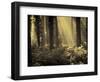 Linkset-David Baker-Framed Photographic Print