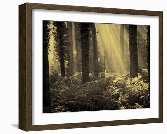 Linkset-David Baker-Framed Photographic Print