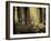 Linkset-David Baker-Framed Photographic Print