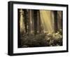 Linkset-David Baker-Framed Photographic Print