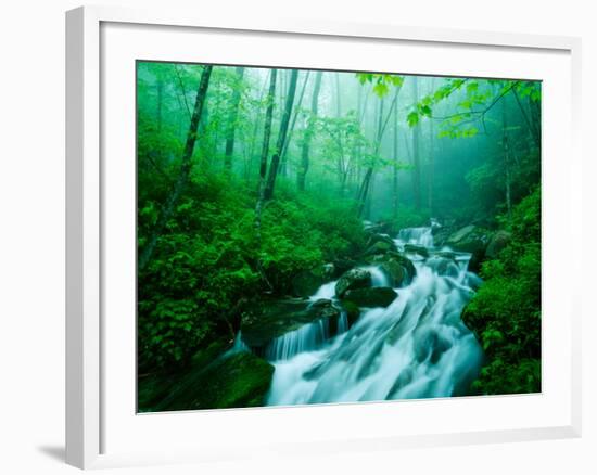 Linn Cove Creek Cascading Through Foggy Forest, Blue Ridge Parkway, North Carolina, USA-Adam Jones-Framed Photographic Print