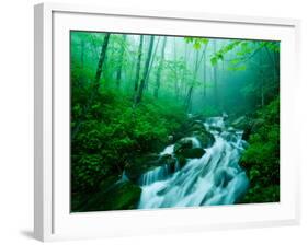 Linn Cove Creek Cascading Through Foggy Forest, Blue Ridge Parkway, North Carolina, USA-Adam Jones-Framed Photographic Print