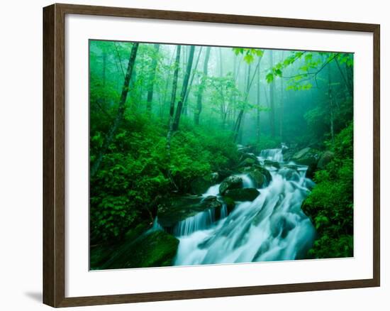 Linn Cove Creek Cascading Through Foggy Forest, Blue Ridge Parkway, North Carolina, USA-Adam Jones-Framed Photographic Print