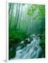 Linn Cove Creek Cascading Through Foggy Forest, Blue Ridge Parkway, North Carolina, USA-Adam Jones-Framed Photographic Print