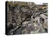 Linn of Dee, Near Braemar, Cairngorms National Park, Aberdeenshire, Scotland, United Kingdom-Gary Cook-Stretched Canvas