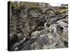 Linn of Dee, Near Braemar, Cairngorms National Park, Aberdeenshire, Scotland, United Kingdom-Gary Cook-Stretched Canvas
