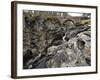 Linn of Dee, Near Braemar, Cairngorms National Park, Aberdeenshire, Scotland, United Kingdom-Gary Cook-Framed Photographic Print