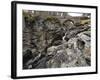 Linn of Dee, Near Braemar, Cairngorms National Park, Aberdeenshire, Scotland, United Kingdom-Gary Cook-Framed Photographic Print