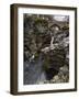 Linn of Dee, Near Braemar, Cairngorms National Park, Aberdeenshire, Scotland, United Kingdom-Gary Cook-Framed Photographic Print