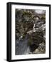 Linn of Dee, Near Braemar, Cairngorms National Park, Aberdeenshire, Scotland, United Kingdom-Gary Cook-Framed Photographic Print