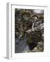 Linn of Dee, Near Braemar, Cairngorms National Park, Aberdeenshire, Scotland, United Kingdom-Gary Cook-Framed Photographic Print