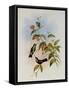 Linn?us' Emerald, Thaumatias Linn?i-John Gould-Framed Stretched Canvas