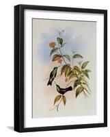 Linn?us' Emerald, Thaumatias Linn?i-John Gould-Framed Giclee Print