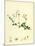 Linnaea Borealis Two-Flowered Linnaea-null-Mounted Giclee Print