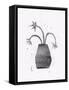 Lino Print #1 / Flowers in a Vase-Alisa Galitsyna-Framed Stretched Canvas
