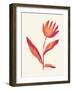 Linocut Flower / Viva Magenta-Alisa Galitsyna-Framed Giclee Print