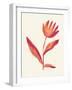 Linocut Flower / Viva Magenta-Alisa Galitsyna-Framed Giclee Print