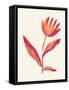 Linocut Flower / Viva Magenta-Alisa Galitsyna-Framed Stretched Canvas